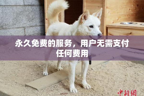 永久免费的服务，用户无需支付任何费用