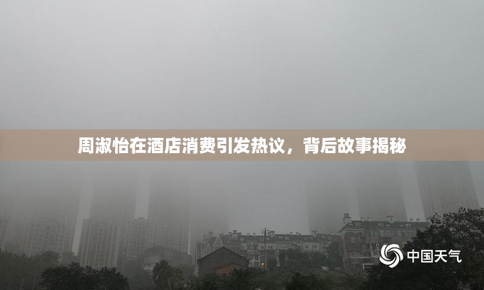 周淑怡在酒店消费引发热议，背后故事揭秘