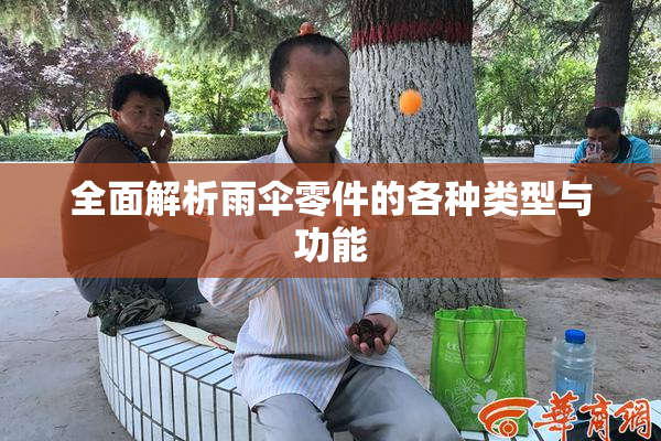 全面解析雨伞零件的各种类型与功能