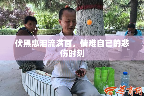 伏黑惠泪流满面，情难自已的悲伤时刻