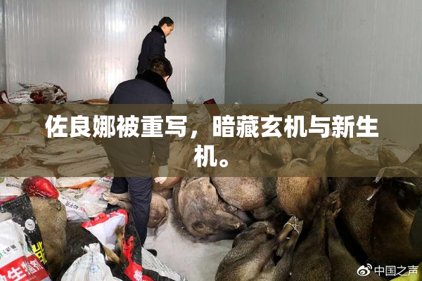 佐良娜被重写，暗藏玄机与新生机。