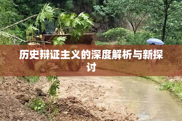 历史辩证主义的深度解析与新探讨