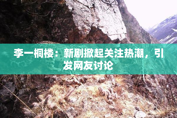 李一桐楼：新剧掀起关注热潮，引发网友讨论
