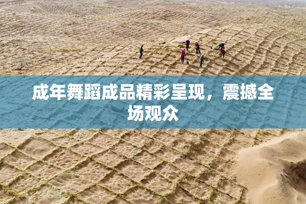 成年舞蹈成品精彩呈现，震撼全场观众