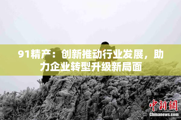 91精产：创新推动行业发展，助力企业转型升级新局面