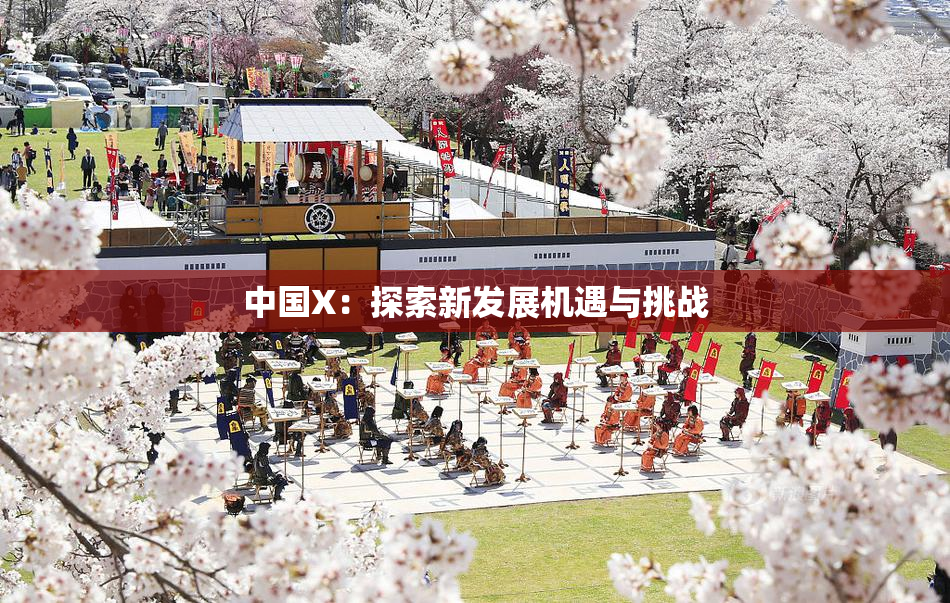 中国X：探索新发展机遇与挑战