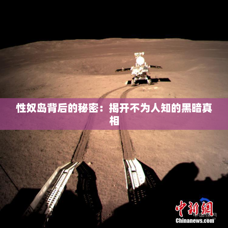 性奴岛背后的秘密：揭开不为人知的黑暗真相