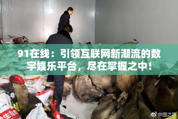 91在线：引领互联网新潮流的数字娱乐平台，尽在掌握之中！