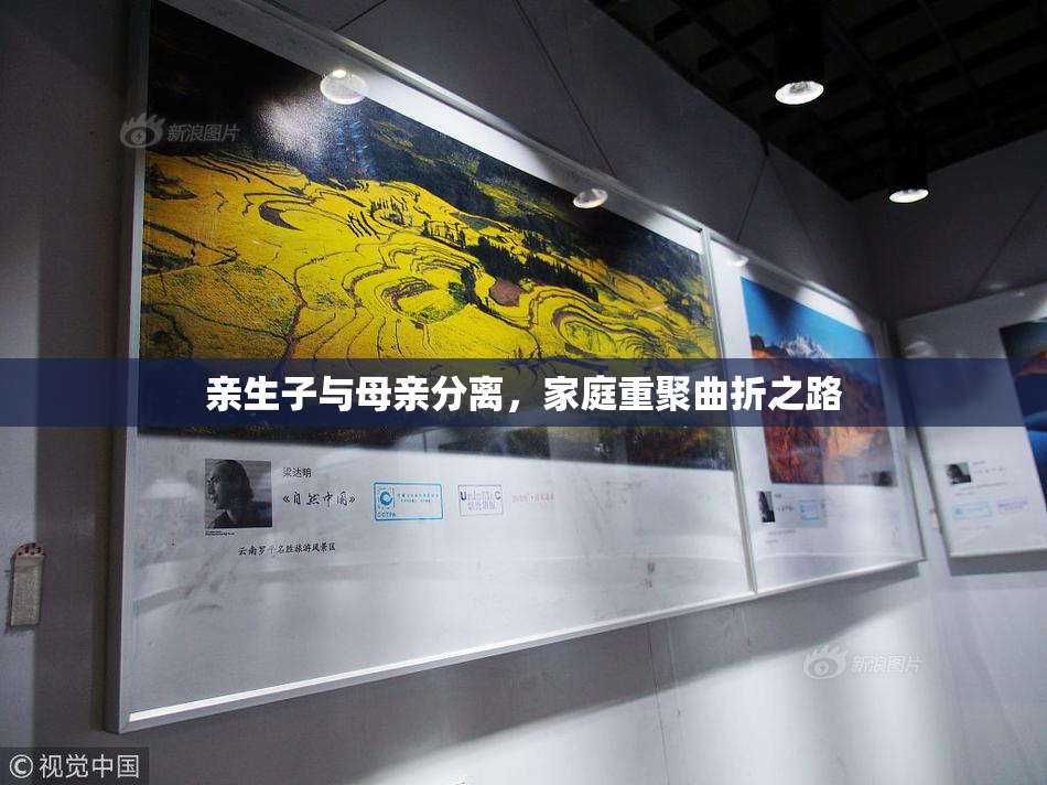 亲生子与母亲分离，家庭重聚曲折之路