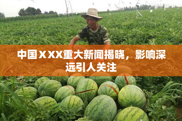 中国ⅩXX重大新闻揭晓，影响深远引人关注