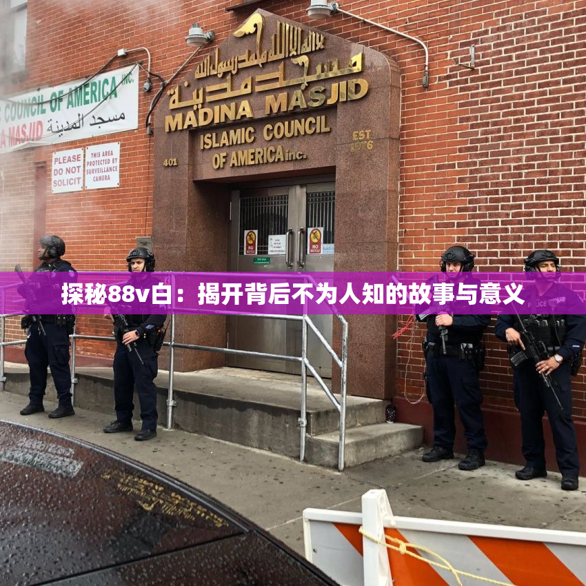 探秘88v白：揭开背后不为人知的故事与意义