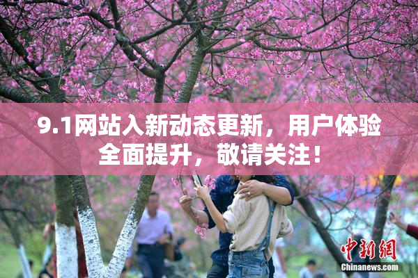 9.1网站入新动态更新，用户体验全面提升，敬请关注！