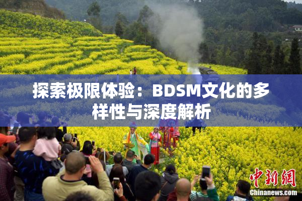 探索极限体验：BDSM文化的多样性与深度解析