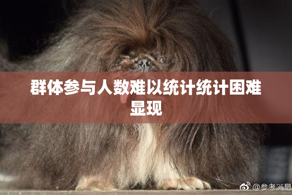 群体参与人数难以统计统计困难显现