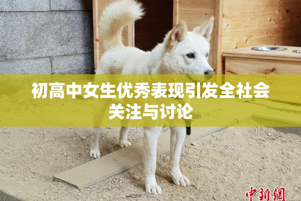 初高中女生优秀表现引发全社会关注与讨论
