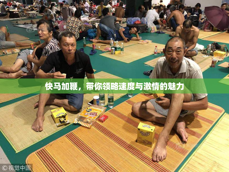 快马加鞭，带你领略速度与激情的魅力