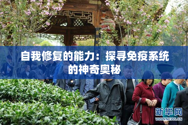 自我修复的能力：探寻免疫系统的神奇奥秘