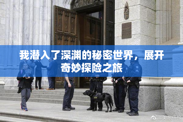 我潜入了深渊的秘密世界，展开奇妙探险之旅