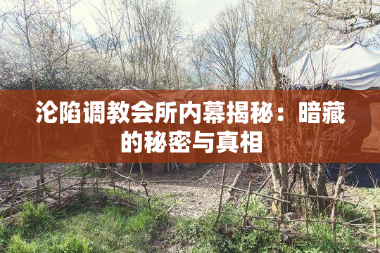沦陷调教会所内幕揭秘：暗藏的秘密与真相