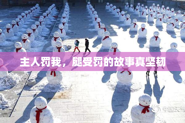 主人罚我，腿受罚的故事真坚韧