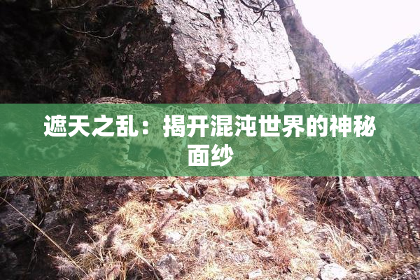 遮天之乱：揭开混沌世界的神秘面纱