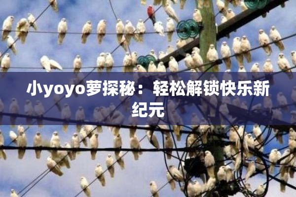 小yoyo萝探秘：轻松解锁快乐新纪元