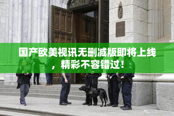 国产欧美视讯无删减版即将上线，精彩不容错过！