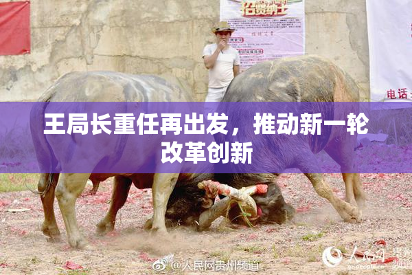 王局长重任再出发，推动新一轮改革创新