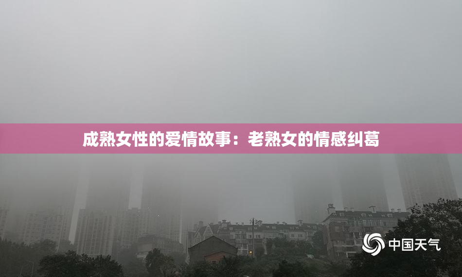 成熟女性的爱情故事：老熟女的情感纠葛