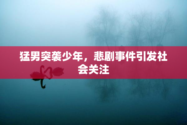 猛男突袭少年，悲剧事件引发社会关注