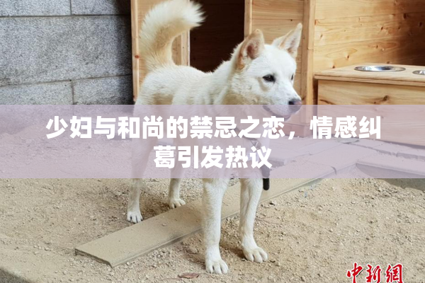 少妇与和尚的禁忌之恋，情感纠葛引发热议
