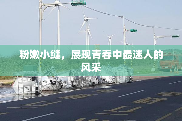粉嫩小缝，展现青春中最迷人的风采