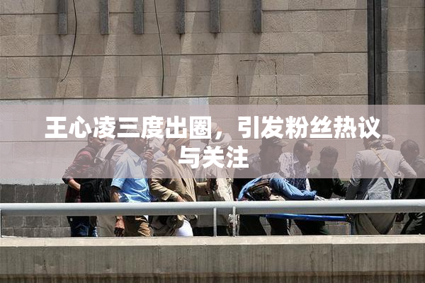 王心凌三度出圈，引发粉丝热议与关注