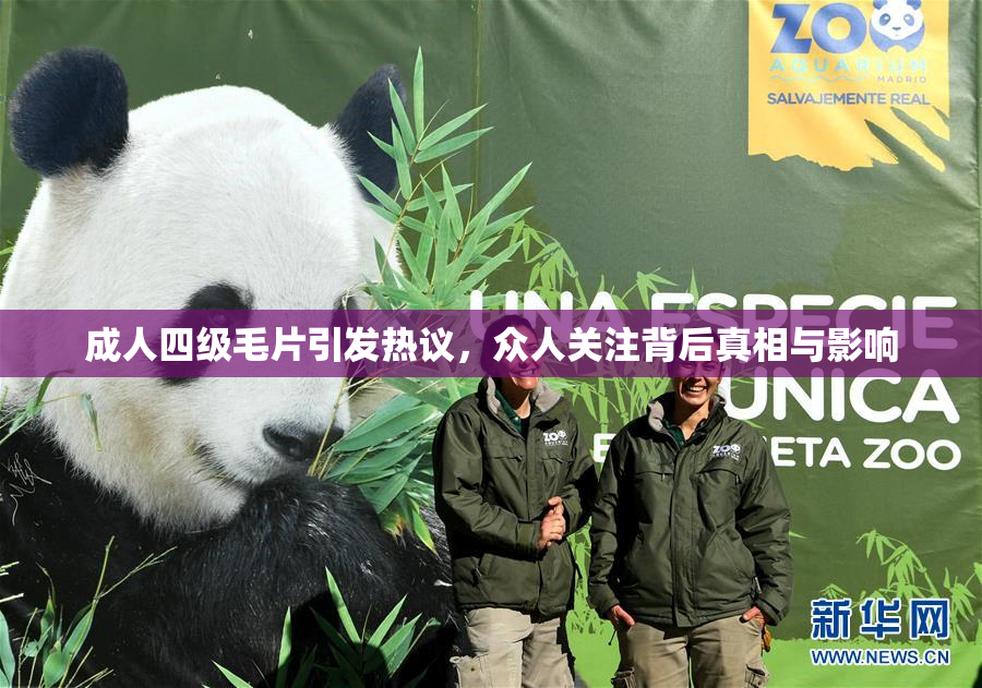 成人四级毛片引发热议，众人关注背后真相与影响