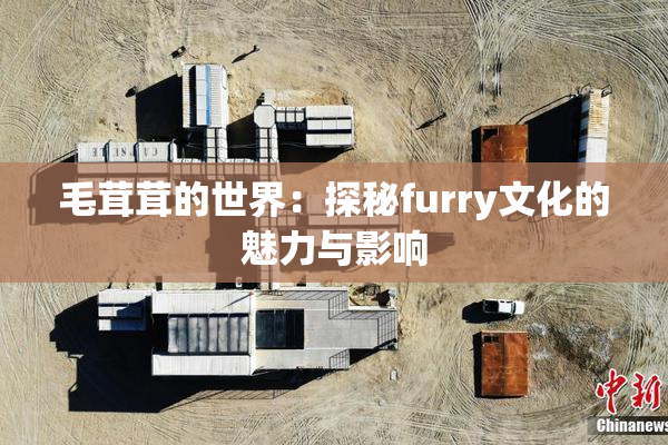 毛茸茸的世界：探秘furry文化的魅力与影响