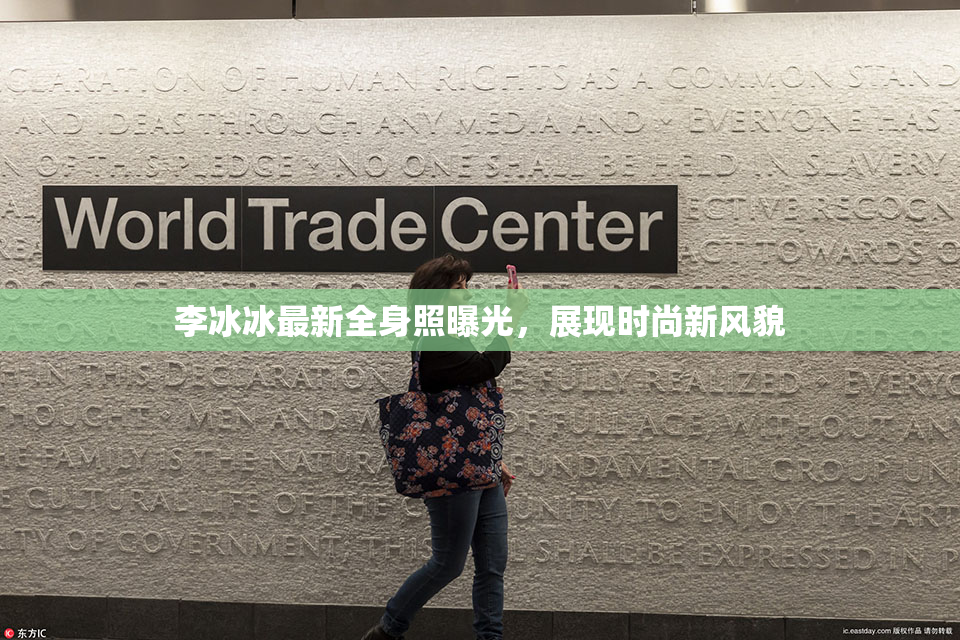 李冰冰最新全身照曝光，展现时尚新风貌