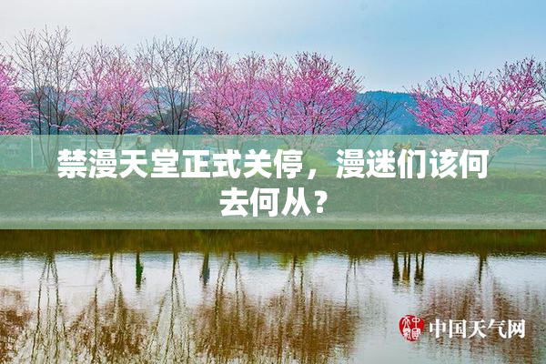 禁漫天堂正式关停，漫迷们该何去何从？