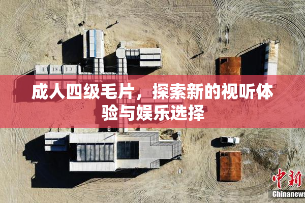 成人四级毛片，探索新的视听体验与娱乐选择