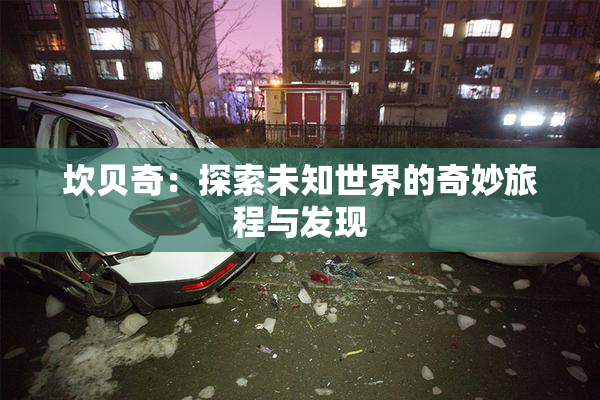 坎贝奇：探索未知世界的奇妙旅程与发现