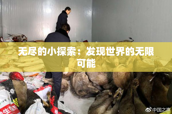 无尽的小探索：发现世界的无限可能