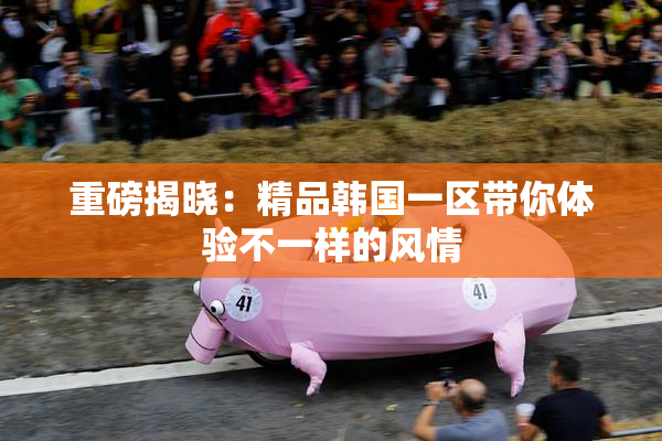 重磅揭晓：精品韩国一区带你体验不一样的风情