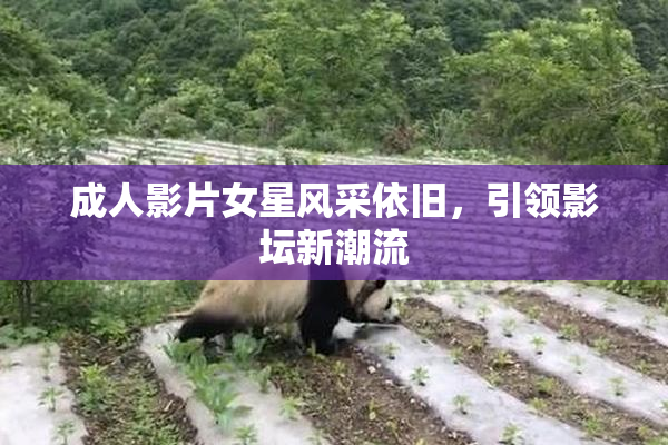 成人影片女星风采依旧，引领影坛新潮流