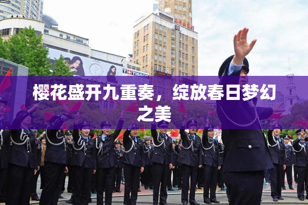 樱花盛开九重奏，绽放春日梦幻之美