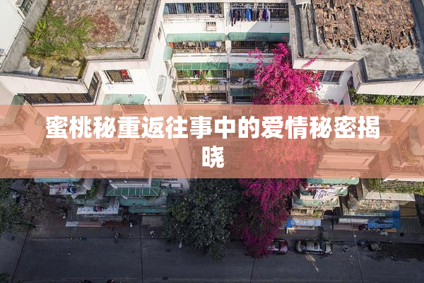 蜜桃秘重返往事中的爱情秘密揭晓