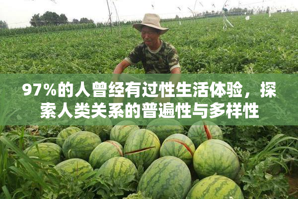 97%的人曾经有过性生活体验，探索人类关系的普遍性与多样性