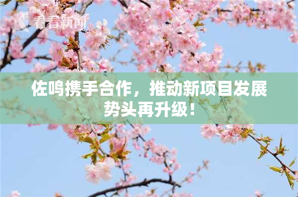 佐鸣携手合作，推动新项目发展势头再升级！