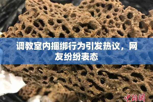 调教室内捆绑行为引发热议，网友纷纷表态