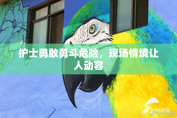 护士勇敢勇斗危险，现场情境让人动容
