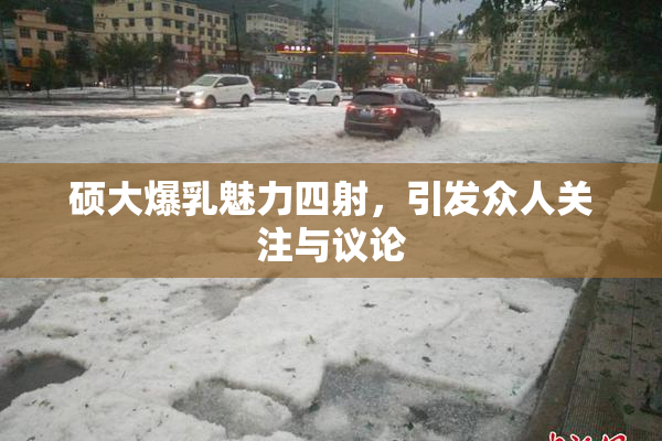 硕大爆乳魅力四射，引发众人关注与议论