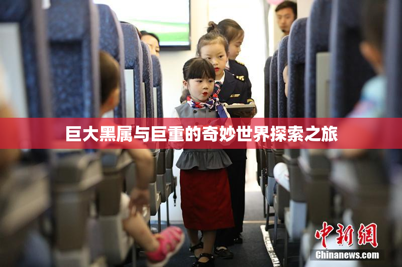 巨大黑属与巨重的奇妙世界探索之旅